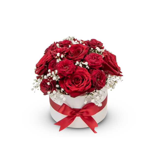 Box červených růží